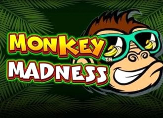 monkey madness slot pragmatic слот